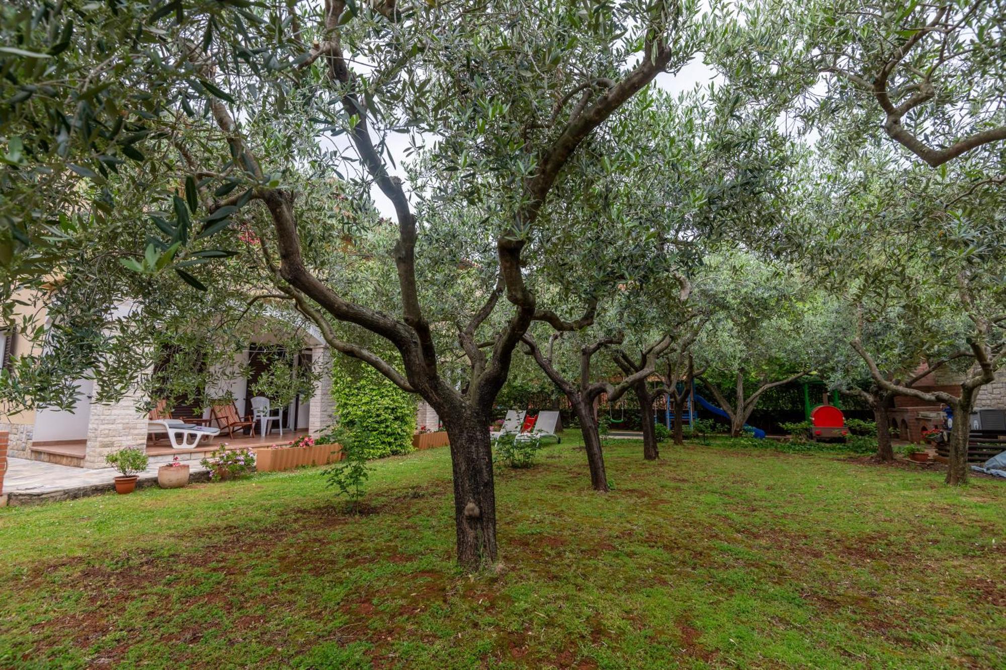 Apartments Mirella Novigrad Istria Exterior foto